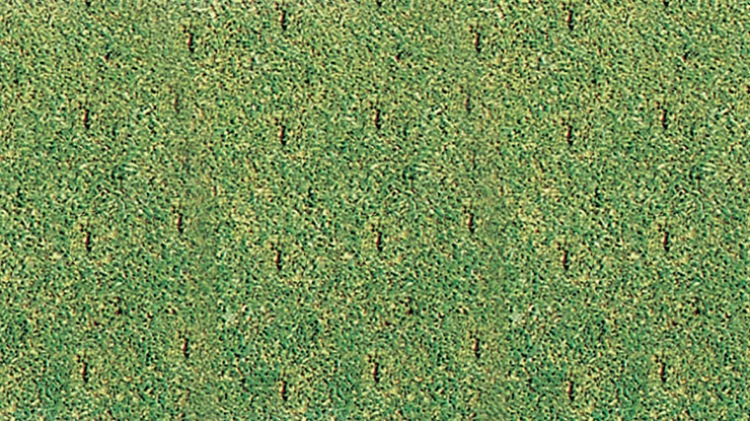 Thatch-Away Star Slitter Grass
